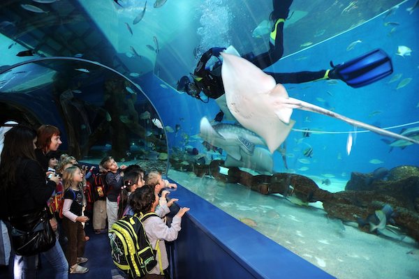 Sharjah-Aquarium