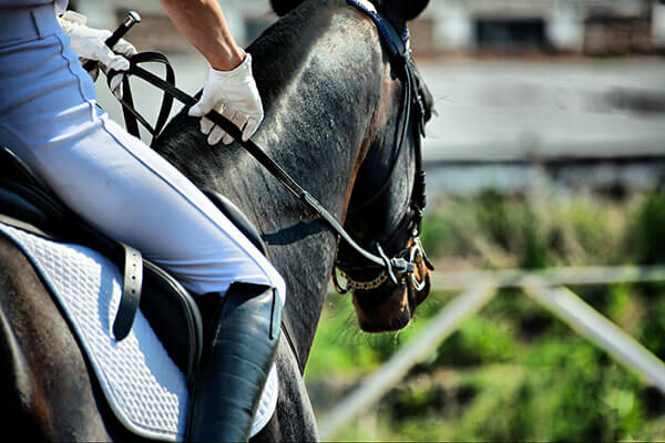 Sharjah Equestrian & Racing Club